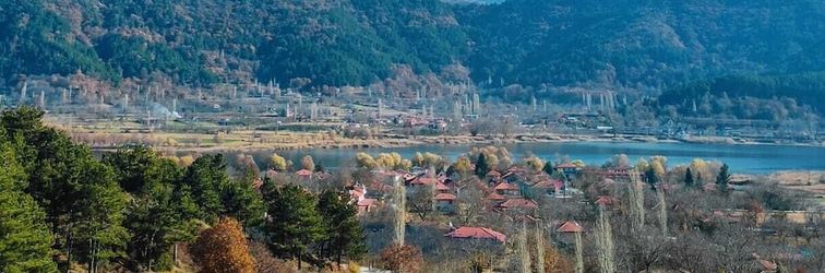 อื่นๆ Torrhebia Dag Evi