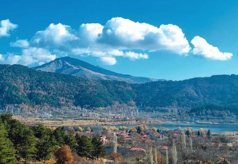 อื่นๆ Torrhebia Dag Evi