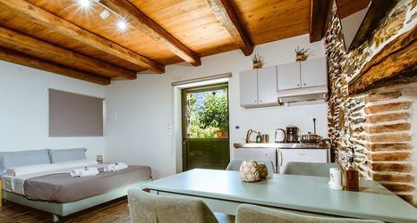 Others 2 Traditional Apartments Elafos