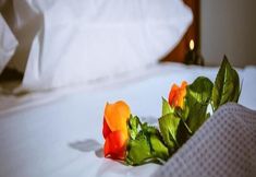 Others 7 Traditional Apartments Elafos