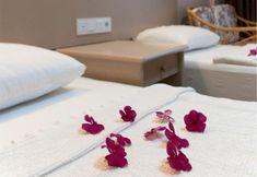 기타 3 Suit Klas More Anex