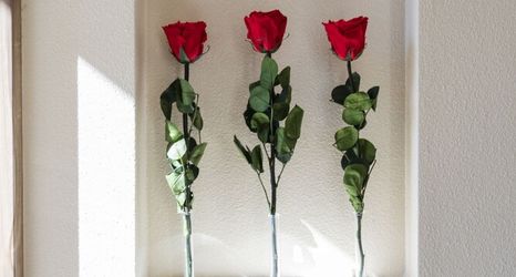 Others 2 Hotel SAILS Asakusa