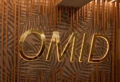 其他 4 Omid Saldanha Hotel