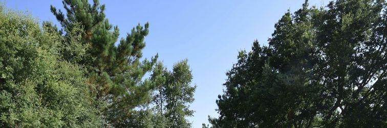 Lainnya Family Retreat With Pool; Caldas da Rainha