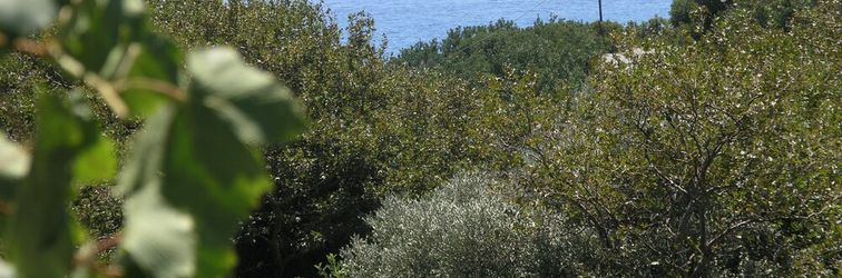 Others Beautiful Cottage in S West Crete Near the sea