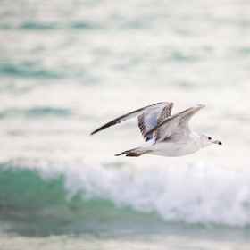 Primary image 1 Avenida Sanctuary, Hotel Beatrice Friedman Symphony Center