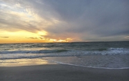 Others 6 Minorga Sand Dollar on the Key