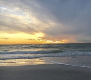 Others 6 Minorga Sand Dollar on the Key