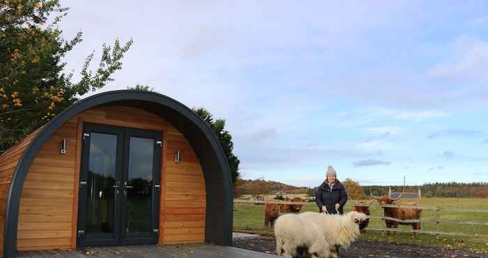 Others Glampods - 5 Berth Glamping Pod Elgin