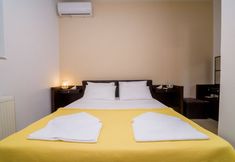 기타 2 Andronikis House