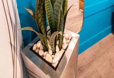 其他 7 The Saint Hotel