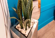 Others 7 The Saint Hotel