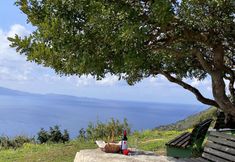 其他 3 Poseidon Apartments