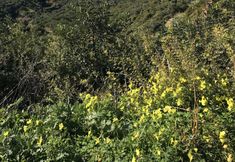 其他 5 Poseidon Apartments