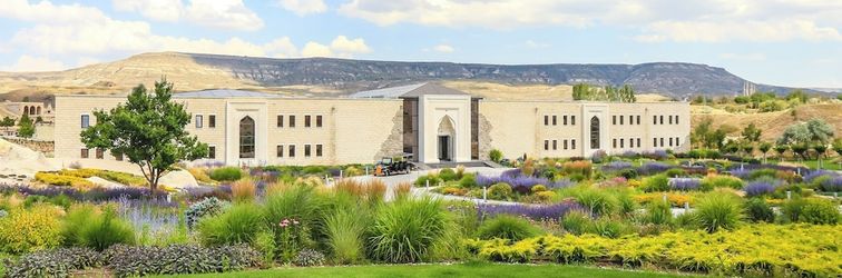 其他 Ajwa Cappadocia