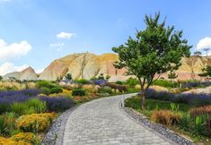 Others 4 AJWA Cappadocia - Preferred Hotels Legend Collection