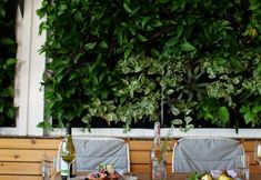 Lain-lain 5 Ruschmeyers #8 - Queen