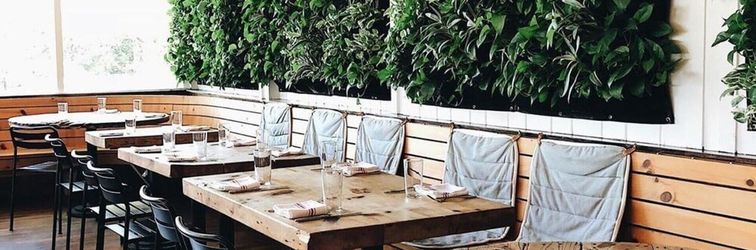 其他 Ruschmeyers #16 - 2 Queen