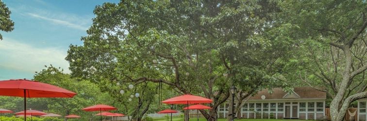 기타 Ruschmeyers #10 - Dlx Queen