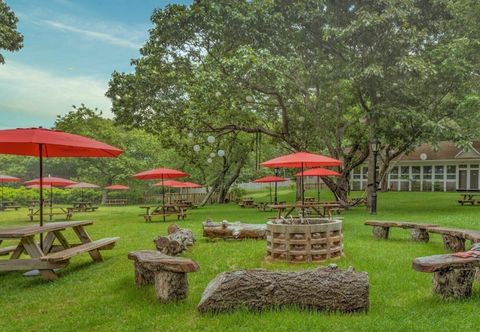 기타 Ruschmeyers #10 - Dlx Queen