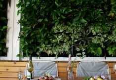 其他 5 Ruschmeyers #9 - Dlx Queen