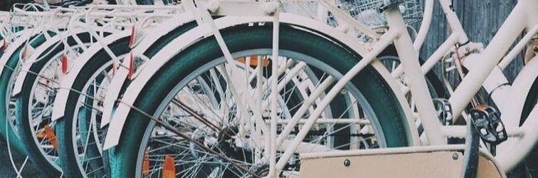 Others Ruschmeyers #4 - Queen