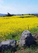 Primary image Jeju Sunflower Guest House