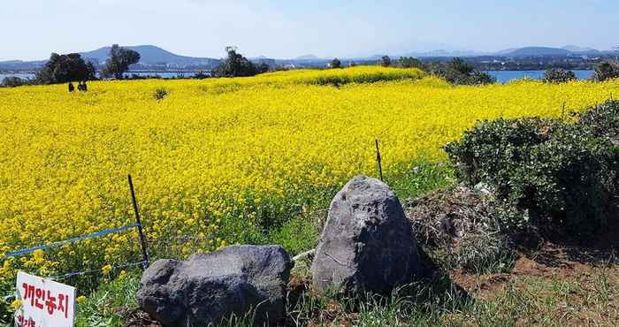 Others Jeju Sunflower Guest House