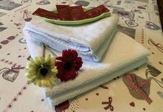 其他 7 La Cabala de Ibeas