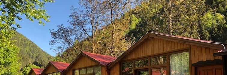 Others Serah Bungawilla