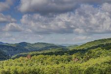 其他 Bearadise - 5 Bedrooms, 5 Baths, Sleeps 20 5 Cabin by Redawning