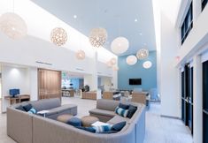 기타 4 Element Dallas Richardson