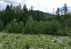 Lainnya 2 20gs - Wifi - F/p - W/d - Sleeps 6 3 Bedroom Home by RedAwning