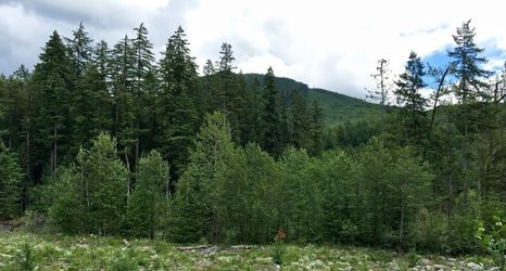 Lainnya 2 20gs - Wifi - F/p - W/d - Sleeps 6 3 Bedroom Home by RedAwning