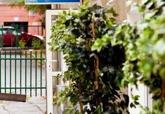 Khác 2 Moon Hostel Kraków