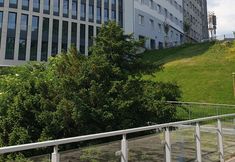 Others 7 Studio Copernicus