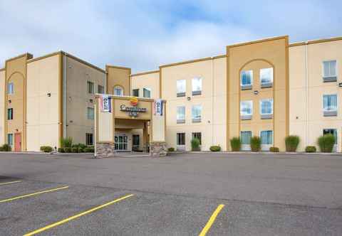 Lainnya Comfort Inn Apalachin / Binghamton W Route 17