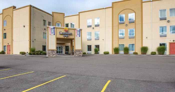 Lainnya Comfort Inn Apalachin / Binghamton W Route 17