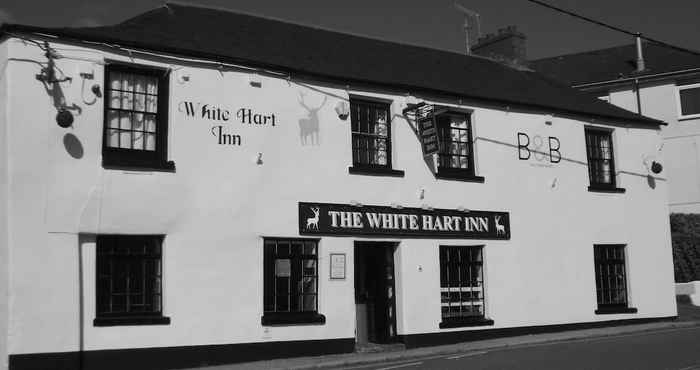 Others White Hart