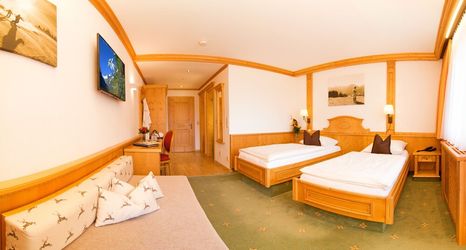 기타 2 Alpenhotel Tirolerhof