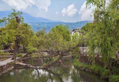 Others Banyan Tree Tengchong