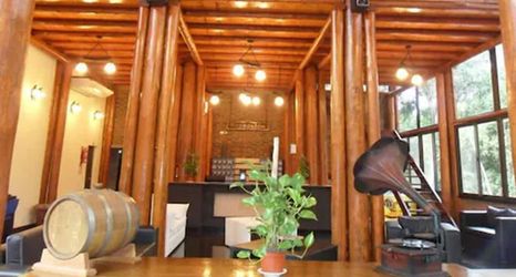 その他 2 Don Horacio Hotel Selvatico