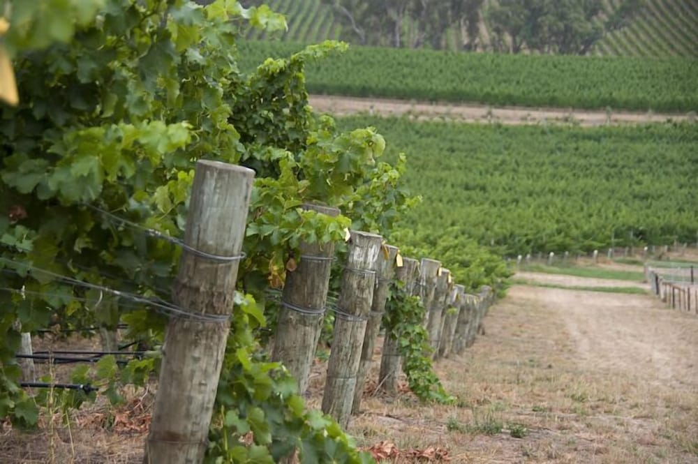 Khác 2 Barristers Block Vigneron Villa