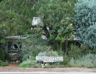 Lain-lain 2 The Black Cockatoo Nannup