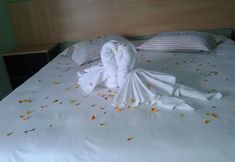 その他 4 Venice Hotel Ubatuba