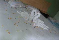 その他 5 Venice Hotel Ubatuba