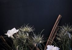 อื่นๆ 4 Alpstay - Hotel Acadia - Adults Only