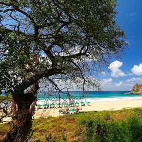 Primary image1Pousada da Praia,州长卡洛斯·威尔逊机场 (FEN)飯店