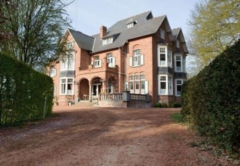 Lain-lain B&B Domein Leegendael