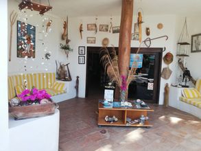 其他 4 Stevie WonderLand